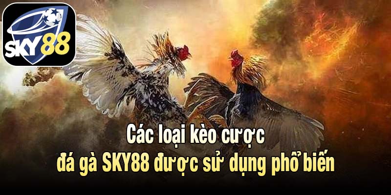 Các loại kèo cược đá gà SKY88 được sử dụng phổ biến