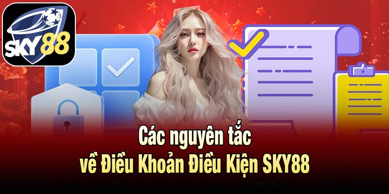 Các nguyên tắc về Điều Khoản Điều Kiện SKY88