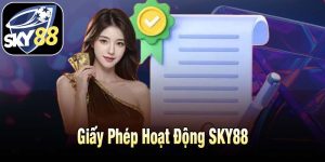 Giấy Phép Hoạt Động SKY88