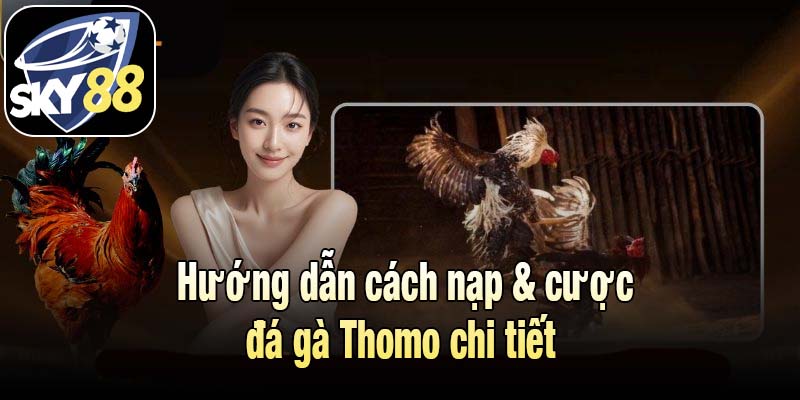 Hướng dẫn cách nạp và cược đá gà Thomo chi tiết 