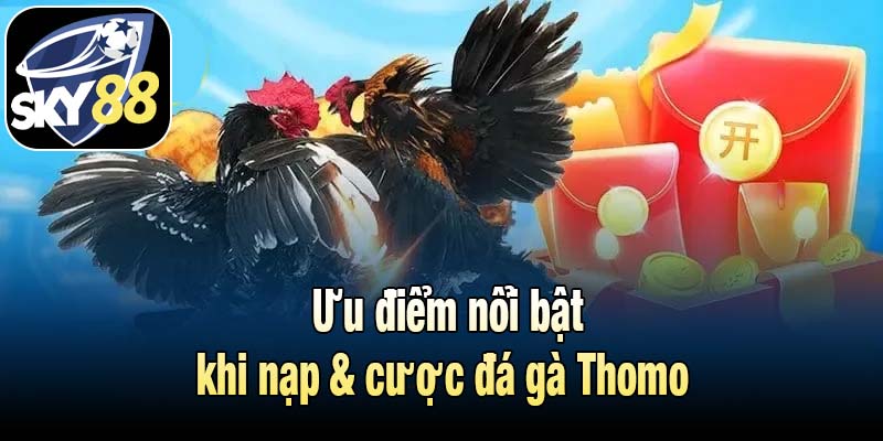 Ưu điểm nổi bật khi nạp và cược đá gà Thomo 