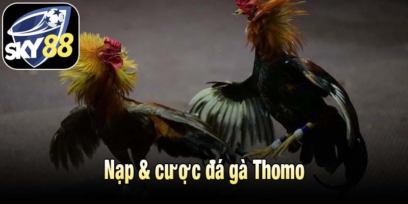 Nạp & cược đá gà Thomo